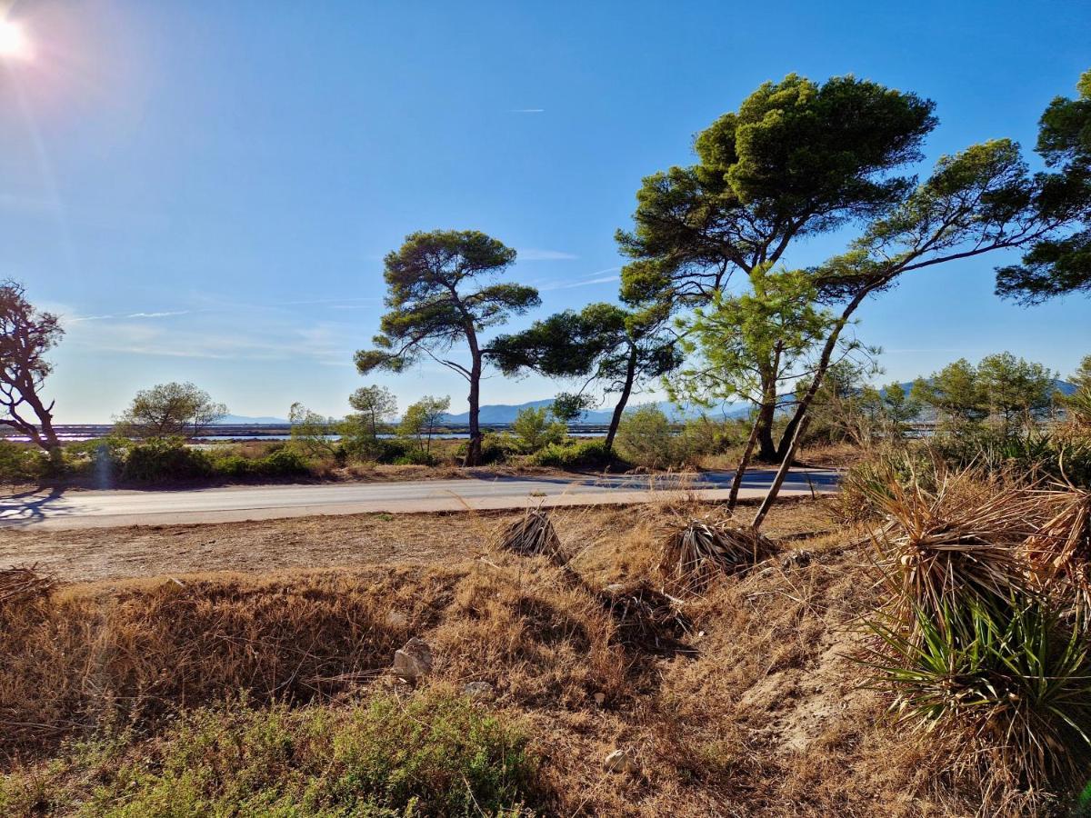 Les Flamants Roses De La Capte T3 Hyères Extérieur photo